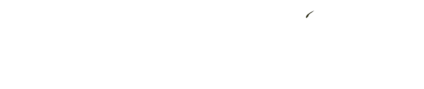 .cynergy.ink.com